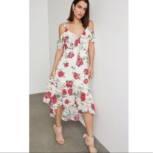 Dresses & Skirts - BCBGMaxazria Womens Floral Rose Dress Lace Overlay X-Small